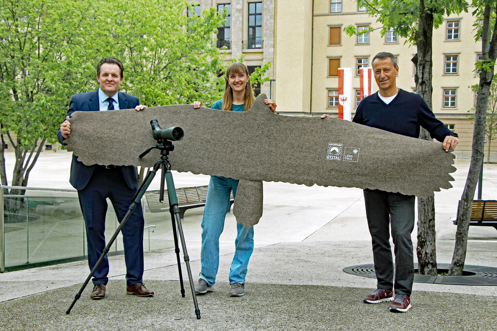 © Land Tirol/Neuner - LR Zumtobel, Elisabeth Weninger und der GF des Naturpark Ötztal, Thomas Schmarda, halten die Silhouette eines Bartgeiers, die lebensgroß die beeindruckende Flügelspannweite abbildet.