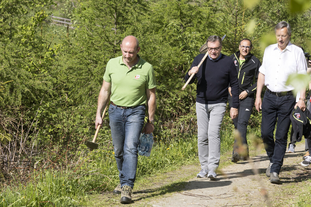  5.000 klimafitte Baumarten für die ARGE ALP