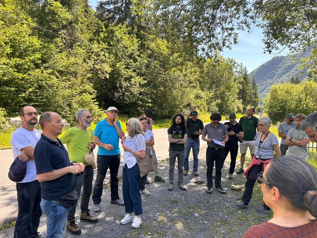 Servizio Foreste PAT