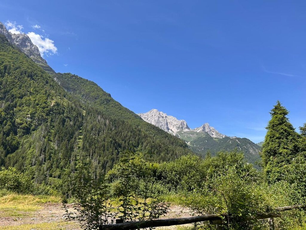 Servizio Foreste PAT