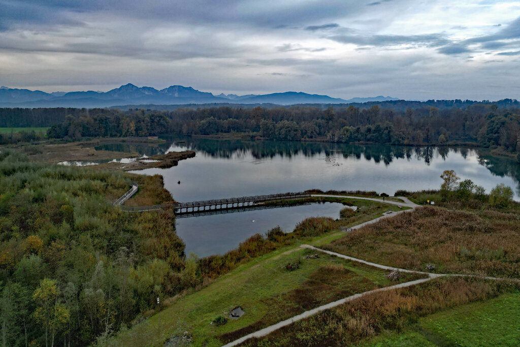 Weitwörther Au, zusammen mit der Antheringer Au wird sie bis 2029 zum Naturpark Salzachauen, acht Quadratkilometer Erholungsgebiet für Tier und Mensch. 23.10.2022