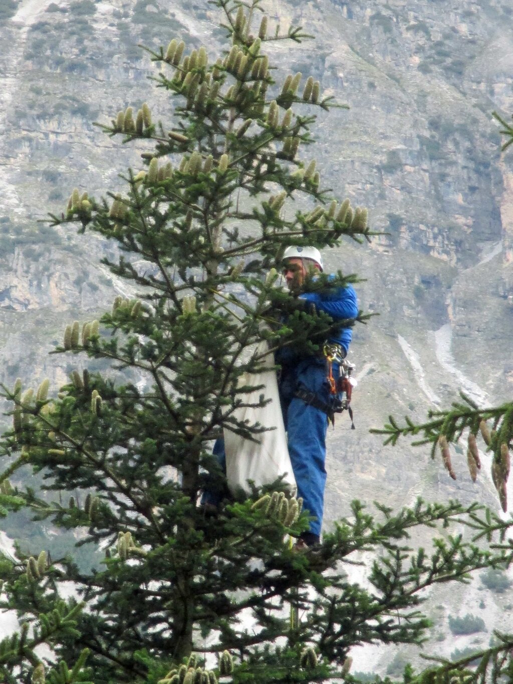 Land Tirol/BFI Steinach