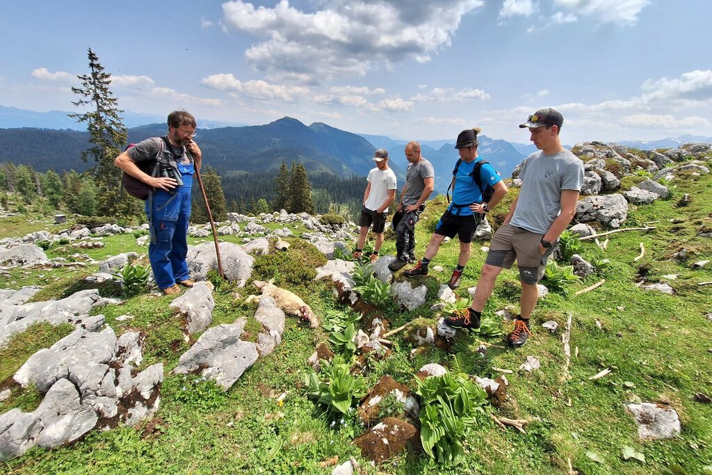 18.06.2023 Im Bild: Der Obmann der Agrargemeinschaft Gerhard Kraft mit betroffenen Bauern. Salzburg, Tennengau, Rußbach am Pass Gschütt