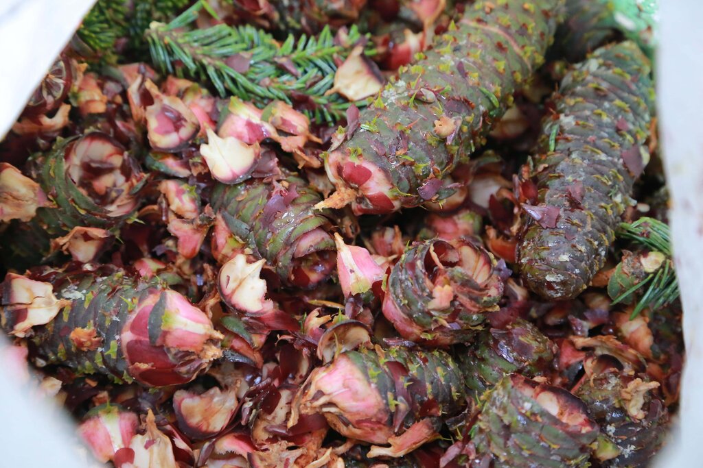 Land Salzburg/Franz Neumayr