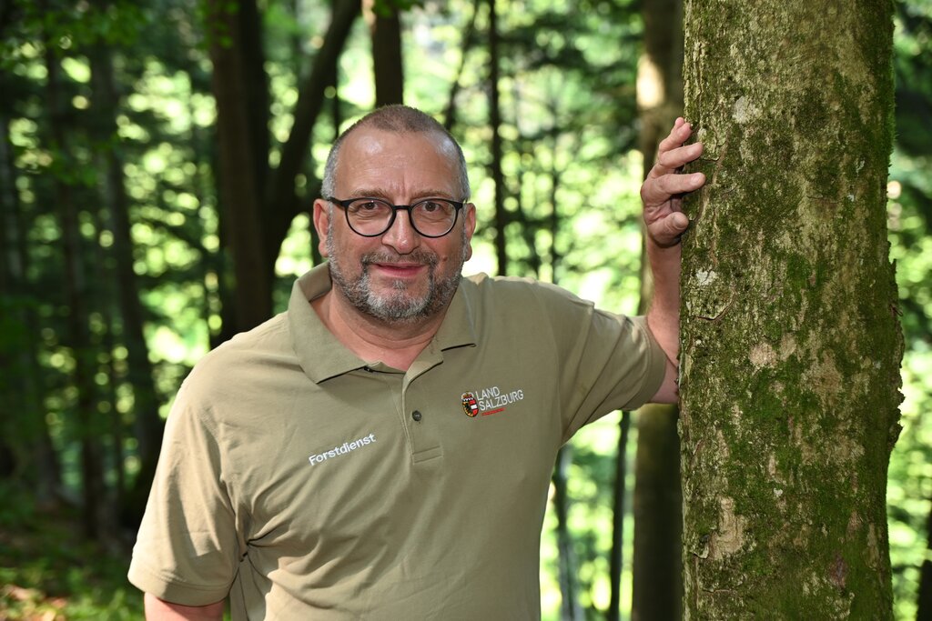 Land Salzburg/Pressefoto Franz Neumayr/Manfred Laux - Landesforstdirektor Michael Mitter