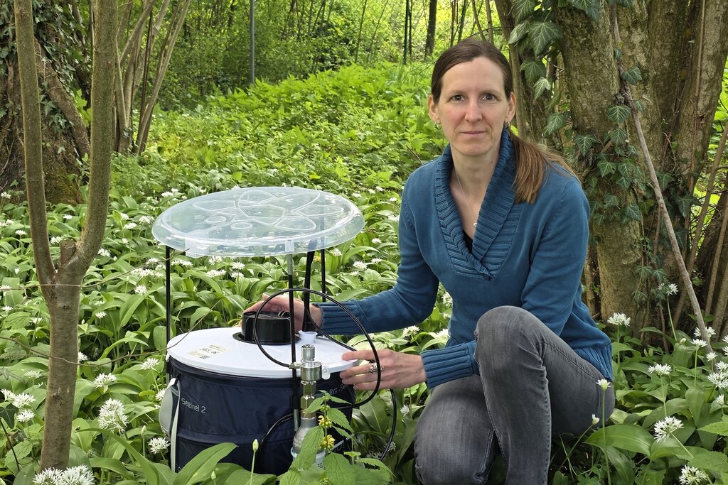 Land Salzburg/Bernhard Kern - Dr. Karin Bakran-Lebl mit einer Lebendfalle für das Pathogen-Monitoring. Stadt Salzburg