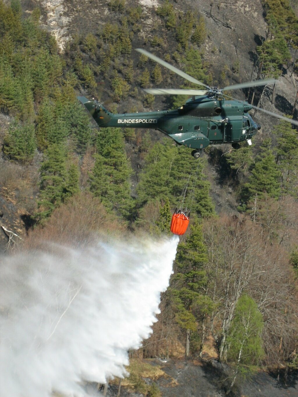 © Bayerische Staatsforsten - Die Bilder zeigen den Waldbrand am Falkenberg aus dem Jahr 2011.