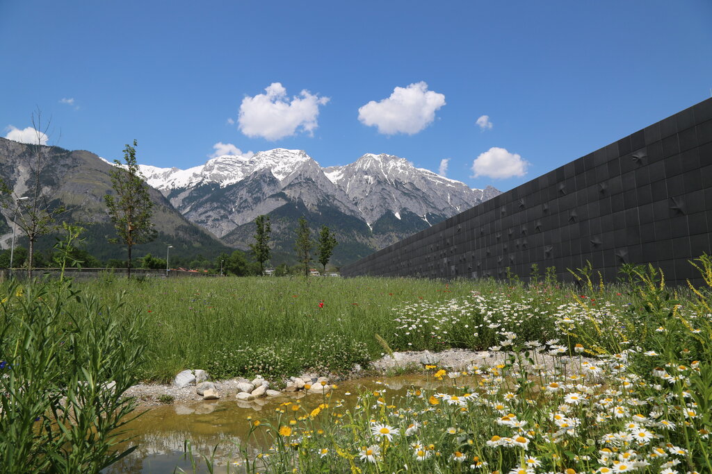 Tiroler Landesmuseen/Eckelt