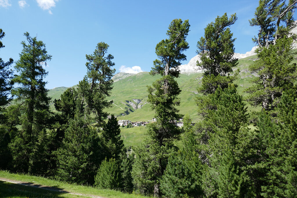 Amt für Wald und Naturgefahren