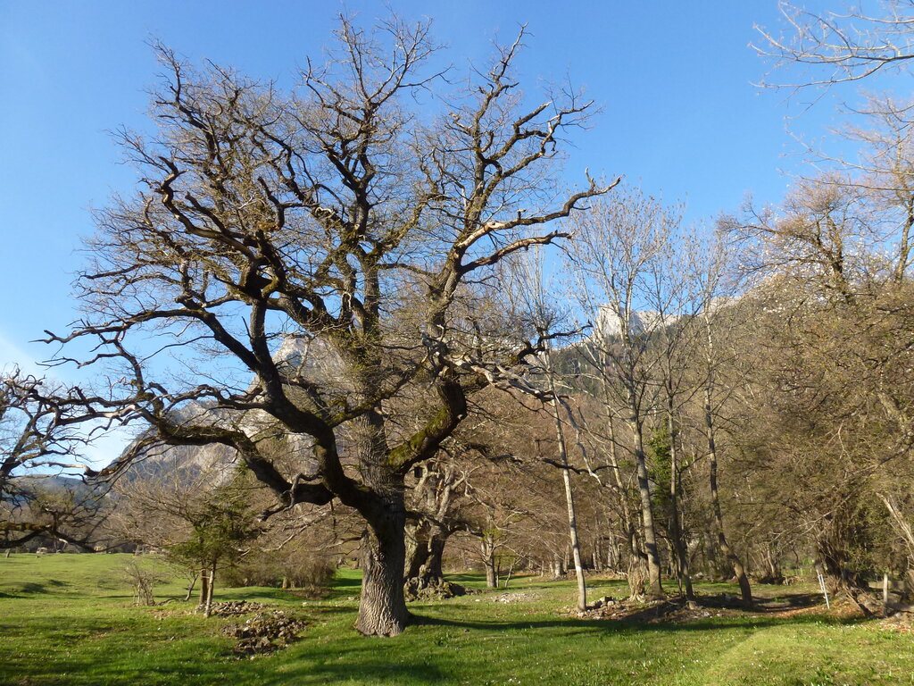 Ufficio foreste e pericoli naturali