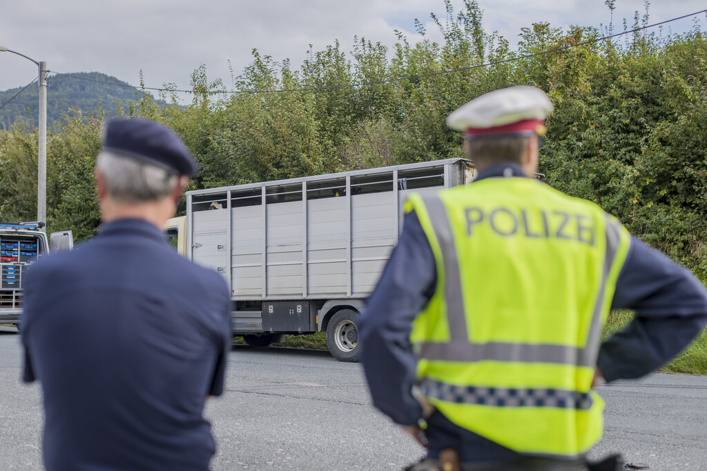 Land Salzburg/Neumayr/Leopold - Polizei und Land Salzburg kooperieren eng und erfolgreich bei den Kontrollen der Tiertransporte. 