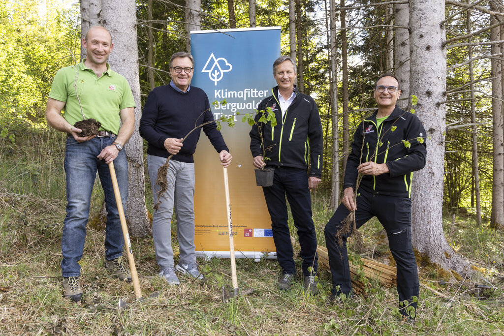 5.000 klimafitte Bäume für die ARGE ALP-Regionen