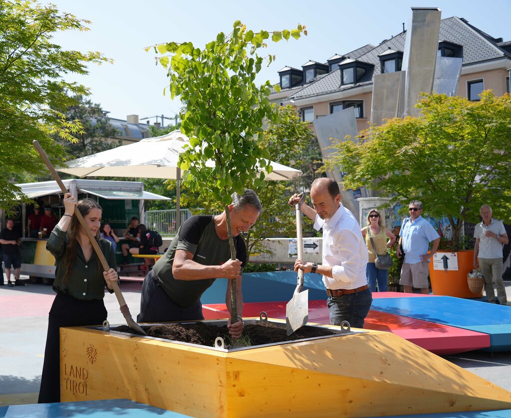 © Land Tirol - Ein Baum – die für Schutz und Heimat stehende Linde – wurde gepflanzt.