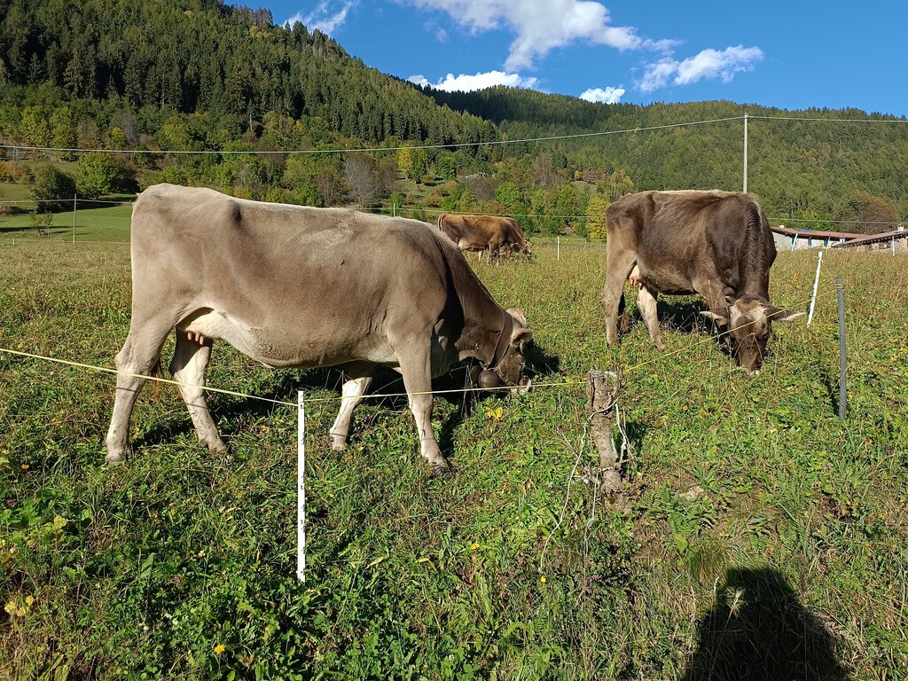 DIALOG bei der Sozialgenossenschaft „Il Cardo“