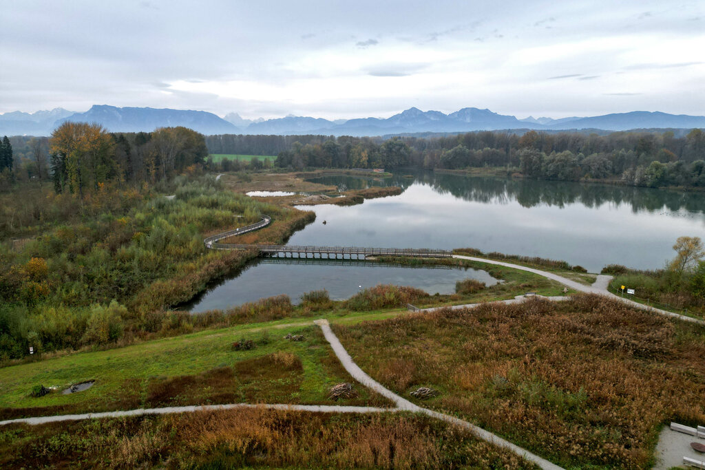 Weitwörther Au, zusammen mit der Antheringer Au wird sie bis 2029 zum Naturpark Salzachauen, acht Quadratkilometer Erholungsgebiet für Tier und Mensch. 23.10.2022