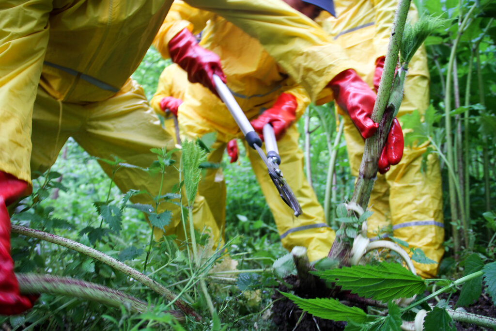 [Translate to Italienisch:] 